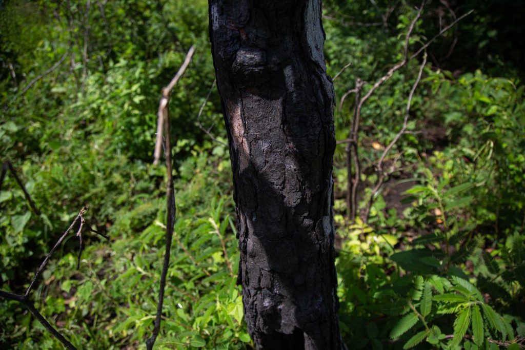 2022 - agosto -Lomas Barbudal Incendio forestal SINAC ASP Areas Silvestres Protegidas - Cesar Arroyo-17