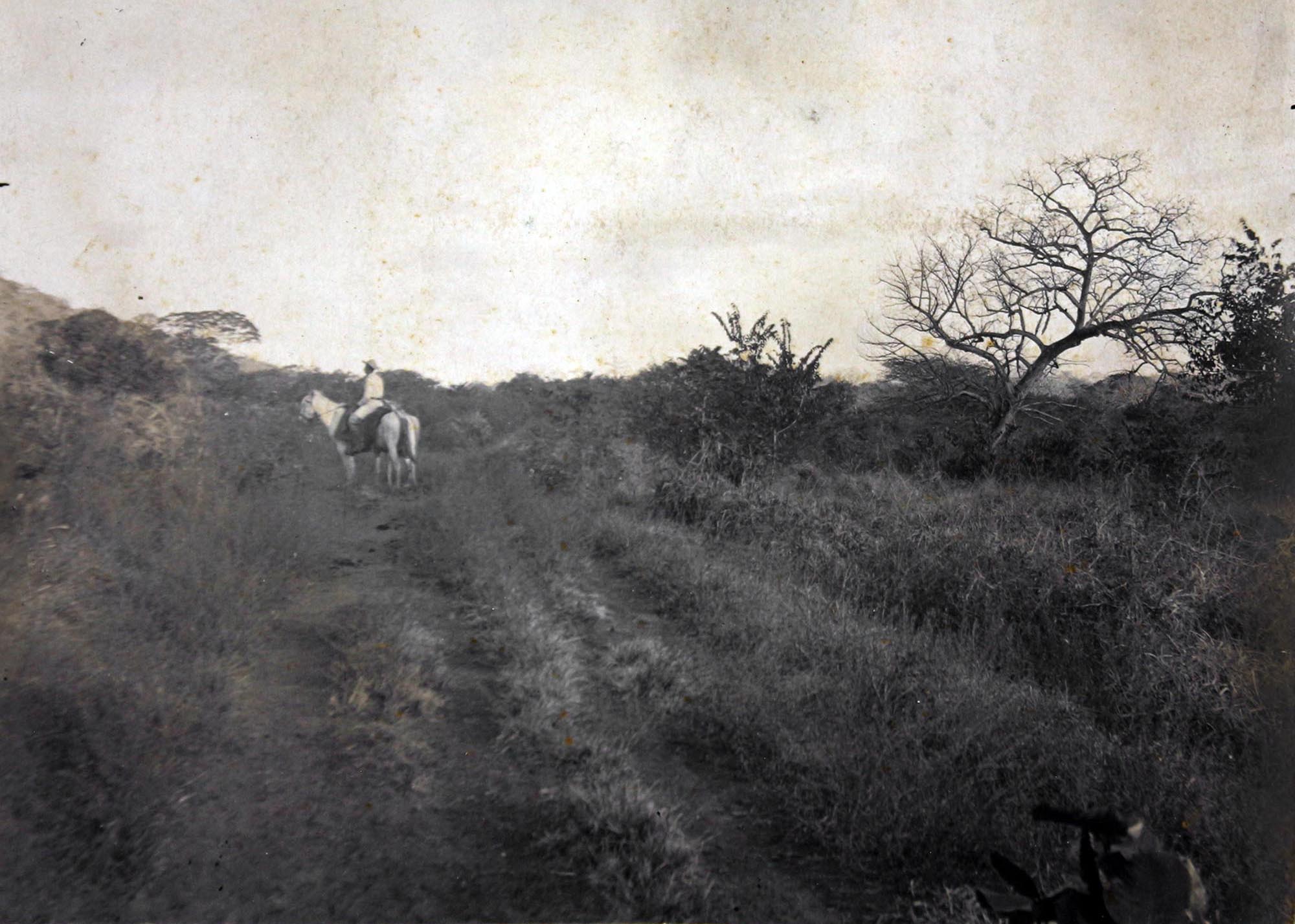 Hacienda Catalina, 1904 (2)