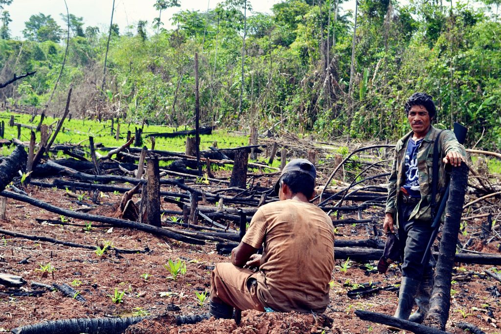Indígenas Mayangna mostrando zona de despale por parte colonos, en el área de reserva de Bosawás.